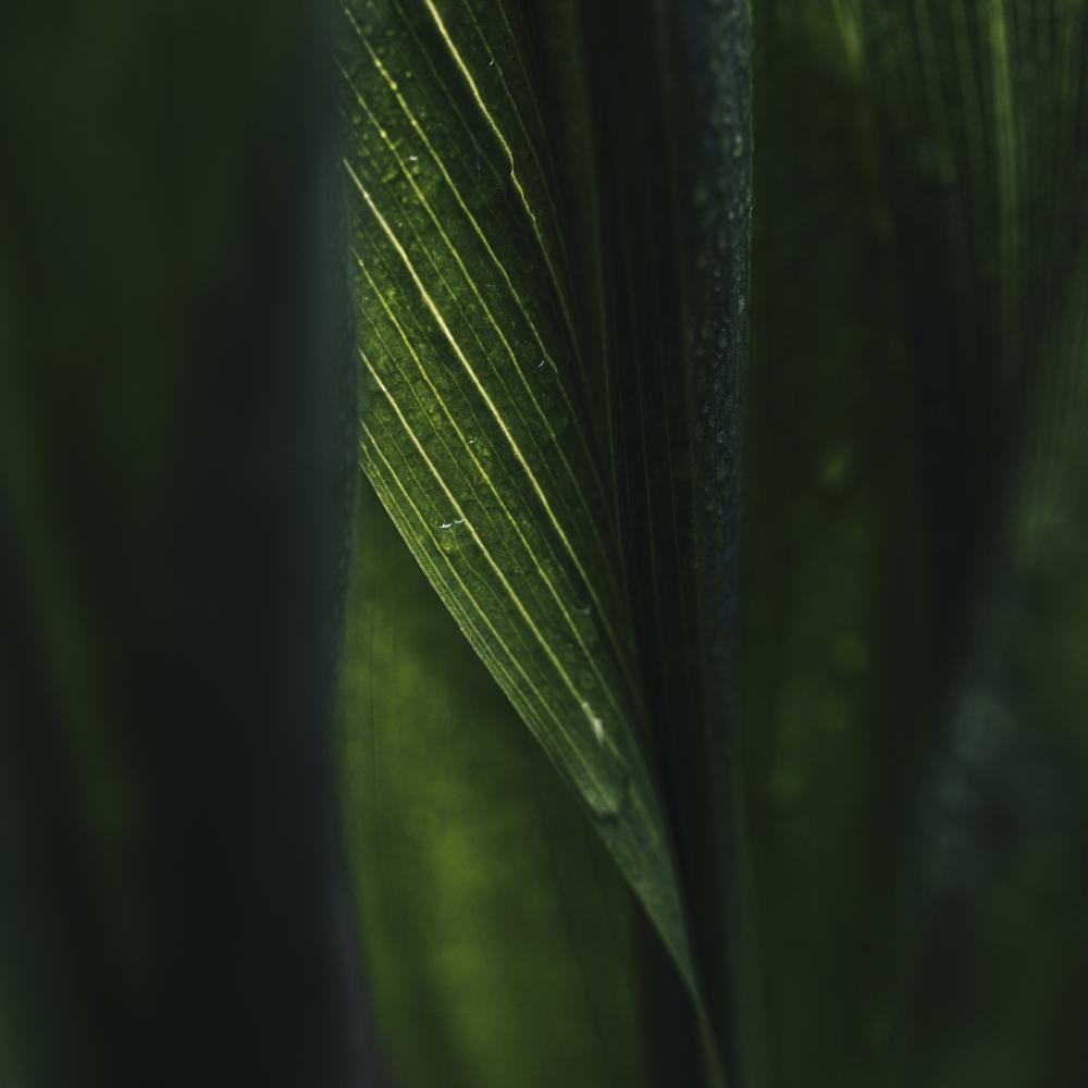 Why AI Matters for Your Career